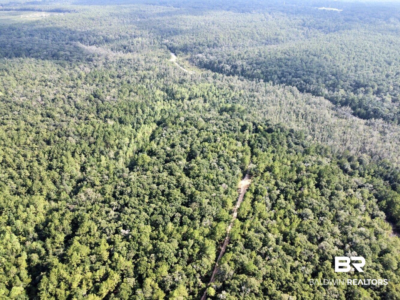0 Bear Fork Road Mobile, AL 36618 - Photo 7 of 50
