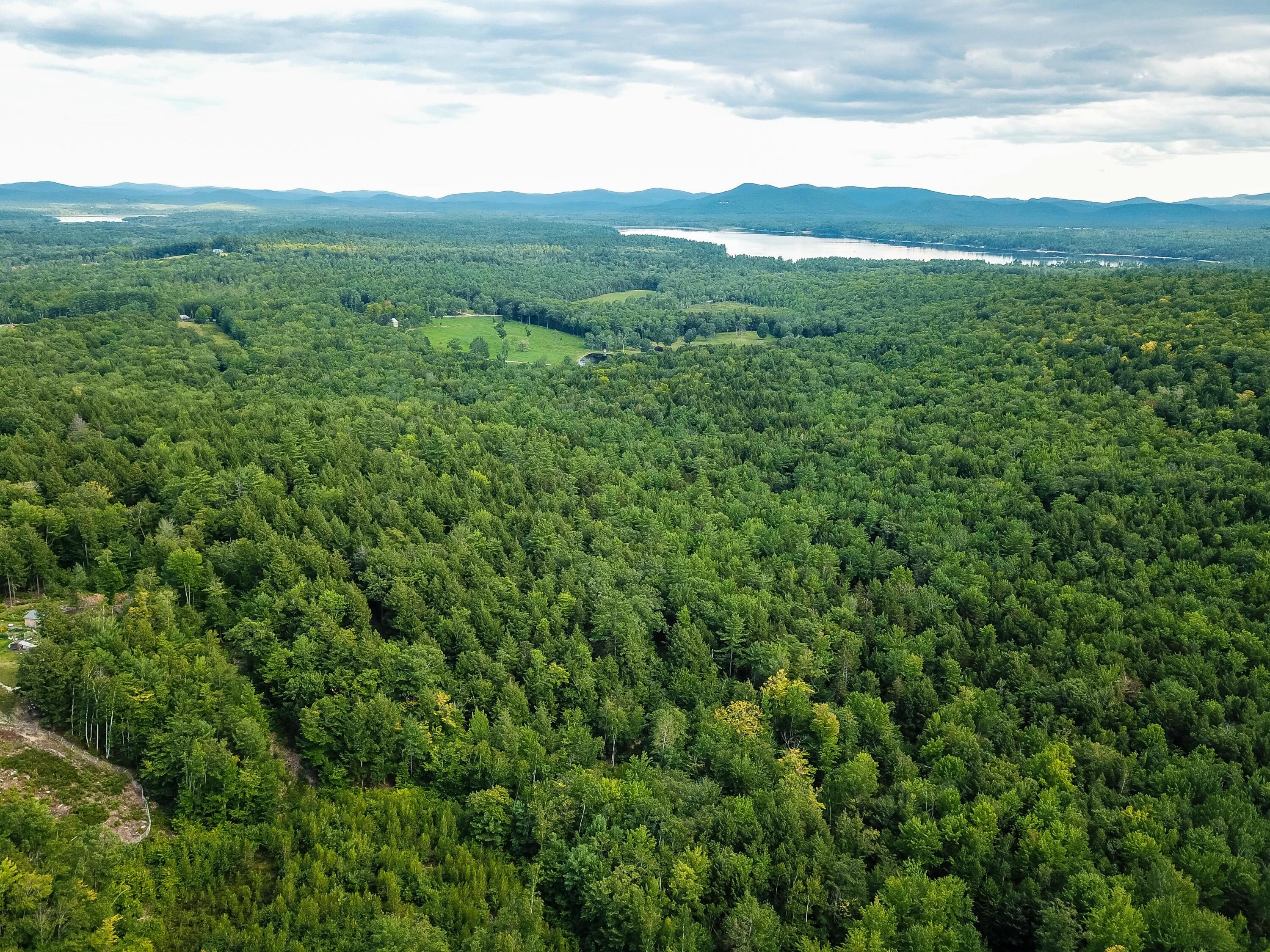 37 Loop Road Fryeburg, ME 04037 - Photo 3 of 9 DJI_0052
