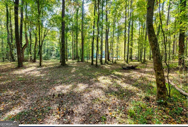 $495,000 | 1978 Luther Bailey Road, Senoia, GA 30276