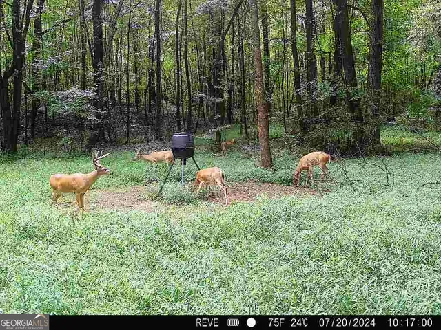 $495,000 | 1978 Luther Bailey Road, Senoia, GA 30276