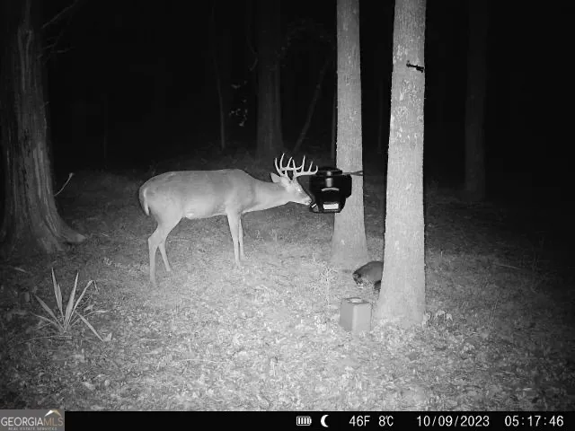 $495,000 | 1978 Luther Bailey Road, Senoia, GA 30276