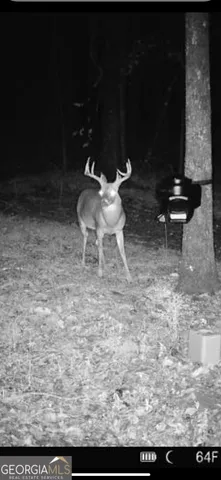 $495,000 | 1978 Luther Bailey Road, Senoia, GA 30276