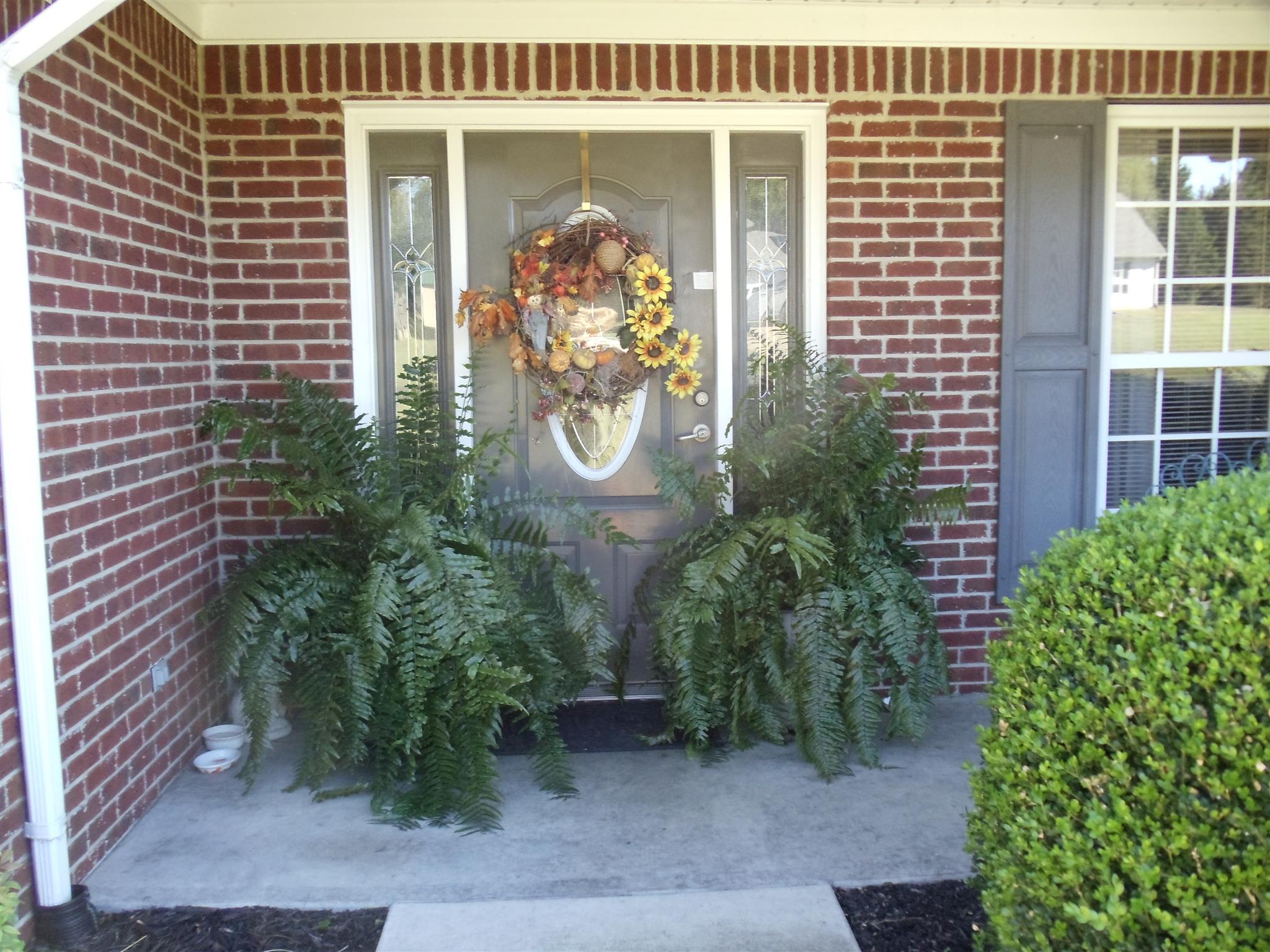 4 Harding Road Leoma, TN 38468 - Photo 3 of 20 SMALL PORCH INVITES YOU IN