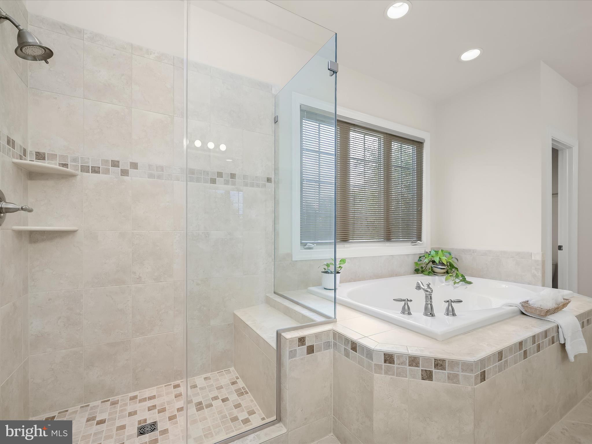 12033 Open Run Road Ellicott City, MD 21042 - Photo 39 of 75 Walk-in Shower & Soaking Tub