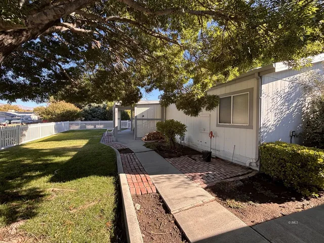 a view of a backyard house with large trees and plants