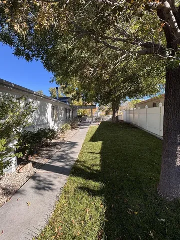 a view of a yard with plants