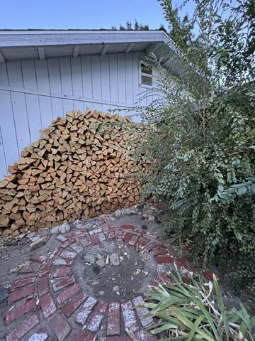 a view of a yard with plants and trees
