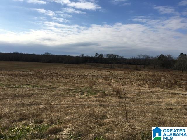 0 County Road 235, Unit 1 Alpine, AL 35014 - Photo 4 of 12