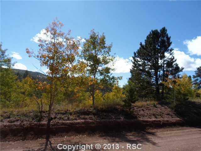 340 Princess Road Cripple Creek, CO 80813 - Photo 2 of 10 Gallery Image 2
