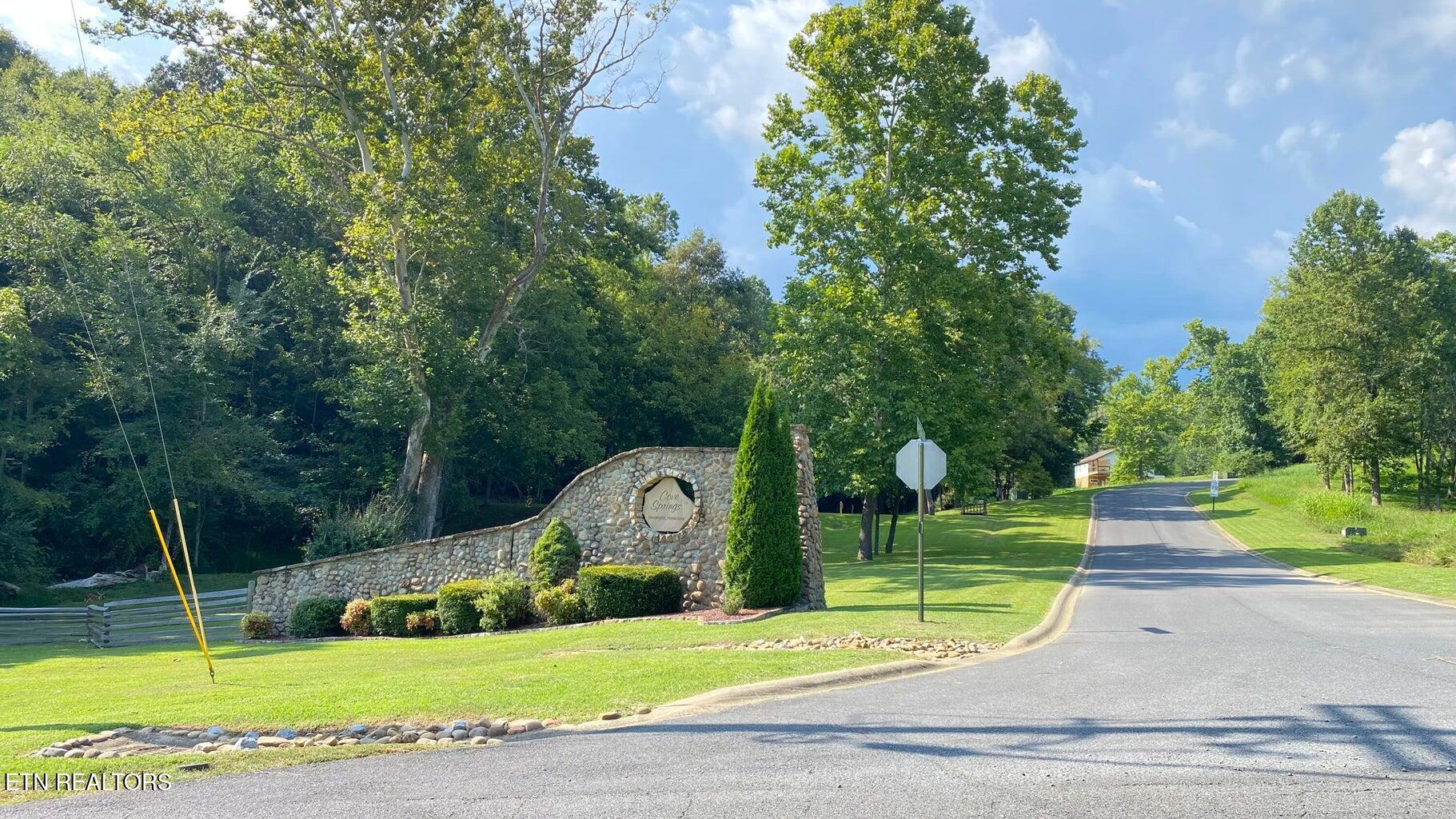 Lot 2 Flat Woods Road Dandridge, TN 37725 - Photo 11 of 19 fr2