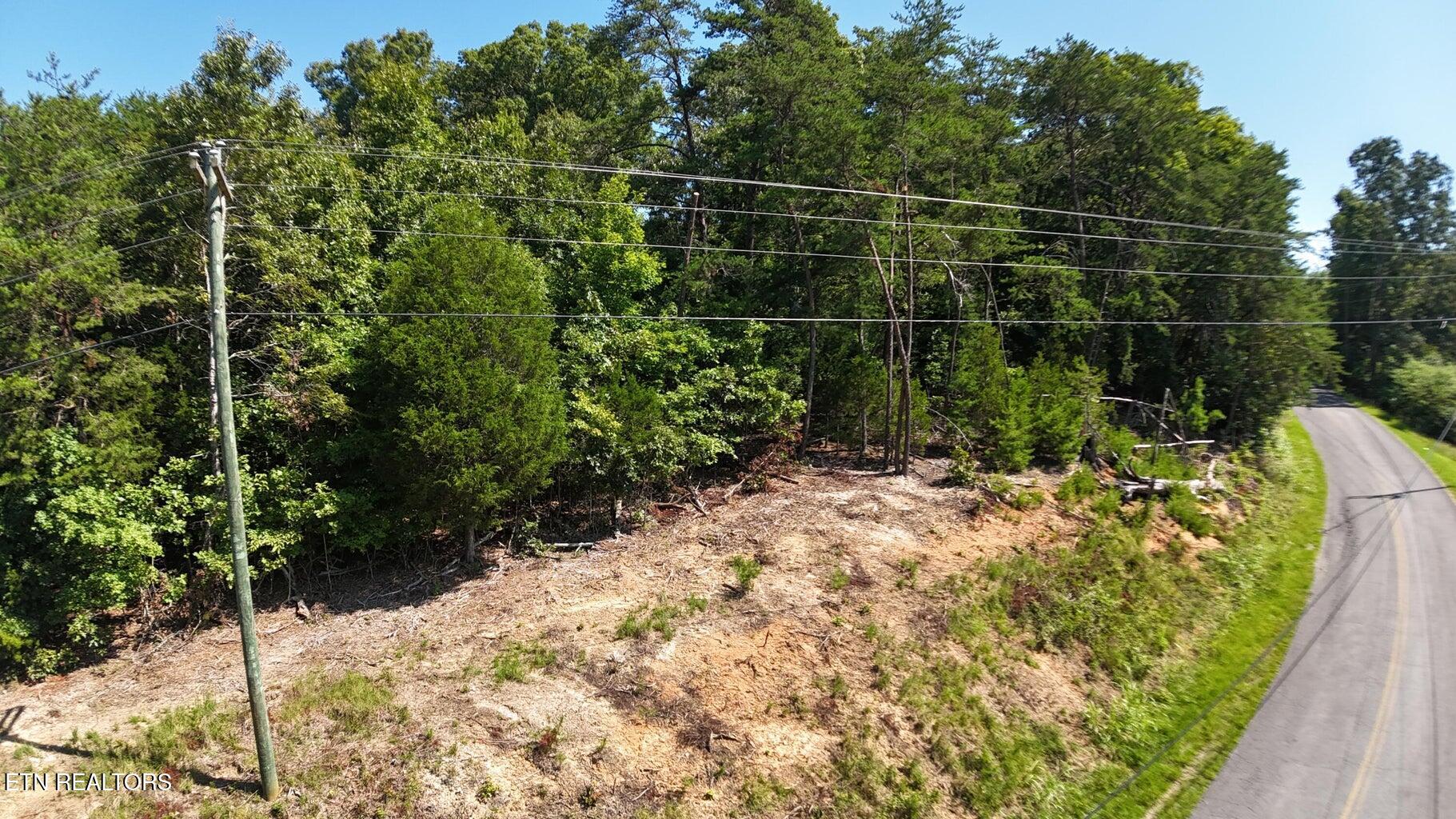 Lot 2 Flat Woods Road Dandridge, TN 37725 - Photo 2 of 19 fr7