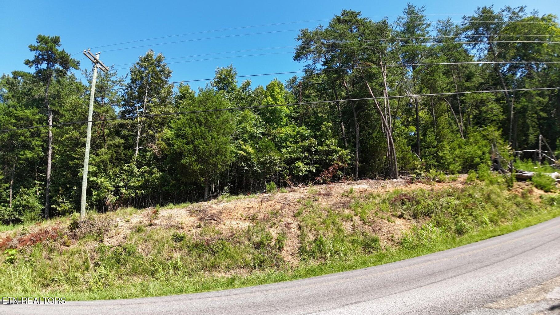 Lot 2 Flat Woods Road Dandridge, TN 37725 - Photo 4 of 19 fr1