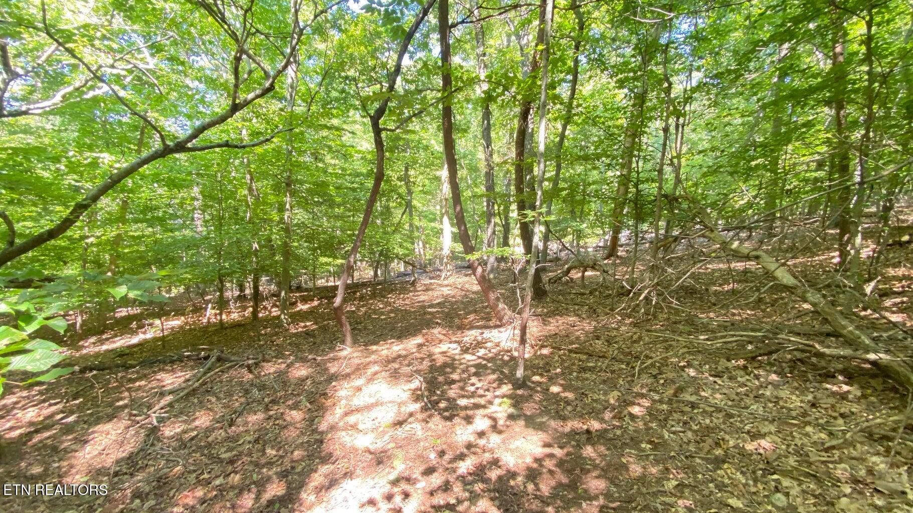 Lot 2 Flat Woods Road Dandridge, TN 37725 - Photo 5 of 19 fr5