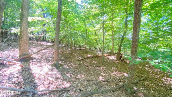 $28,900 | Lot 2 Flat Woods Road, Dandridge, TN 37725