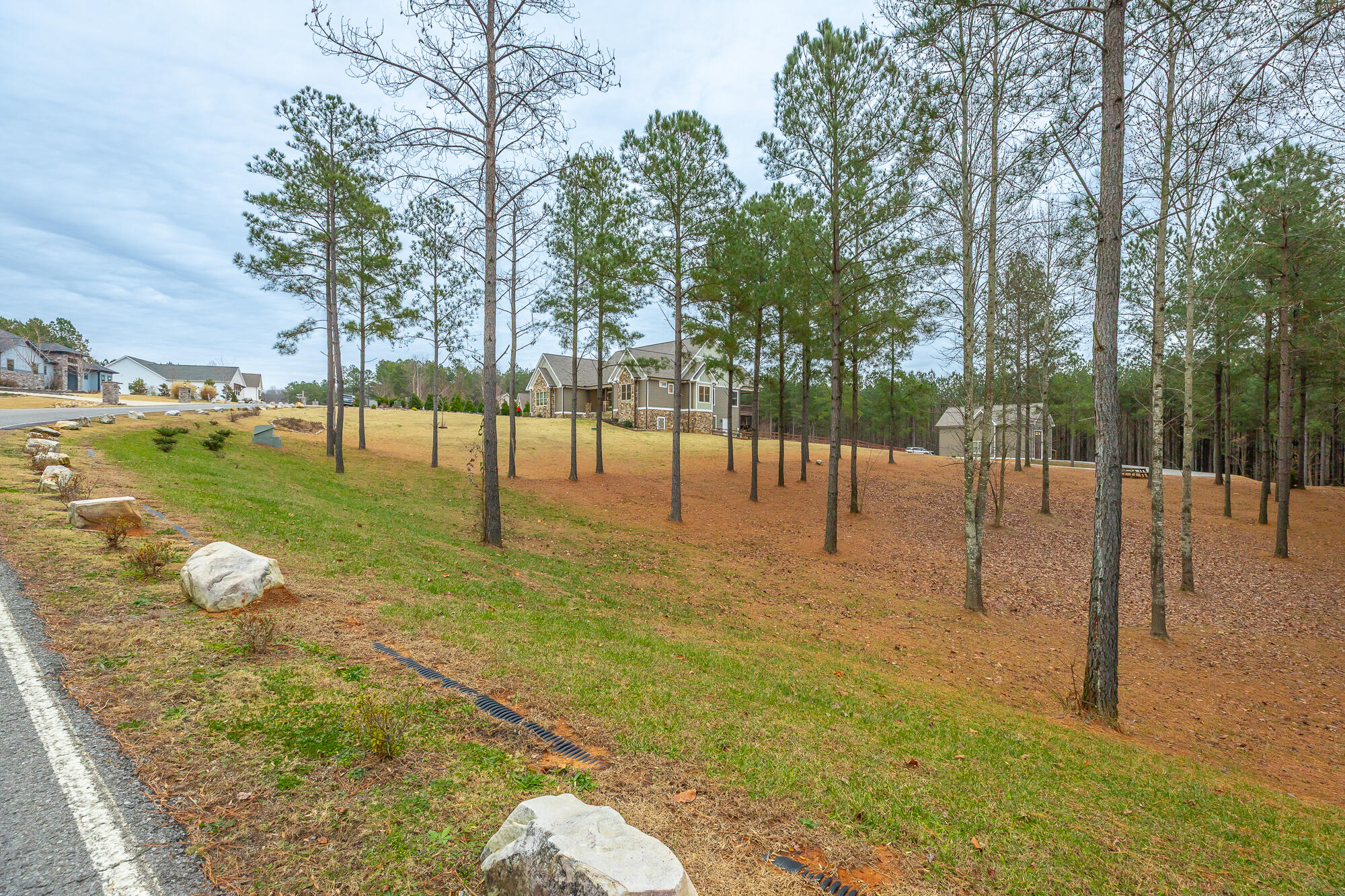 1520 Raulston Falls Drive Jasper, TN 37347 - Photo 101 of 148 1520 Raulston Falls Road HD-91