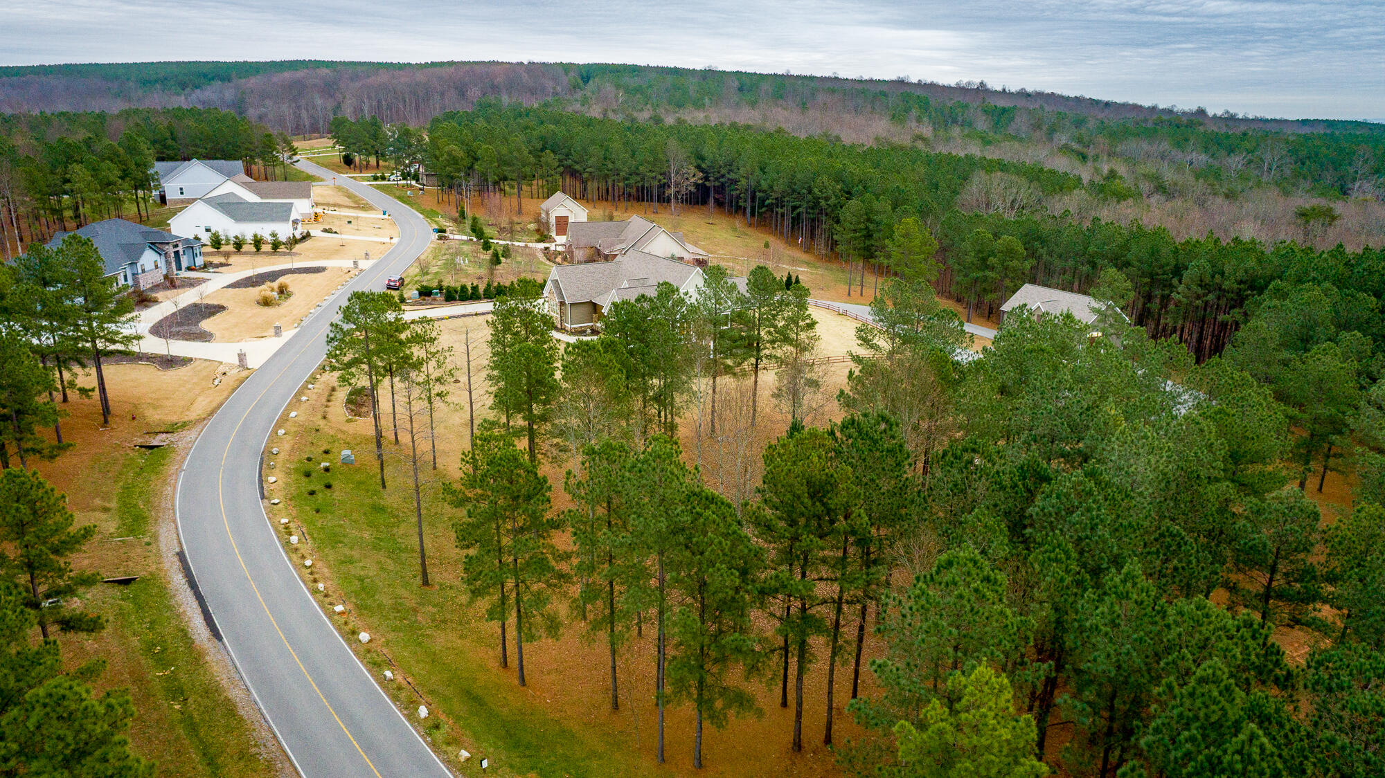 1520 Raulston Falls Drive Jasper, TN 37347 - Photo 136 of 148 1520 Raulston Falls Road HD-147