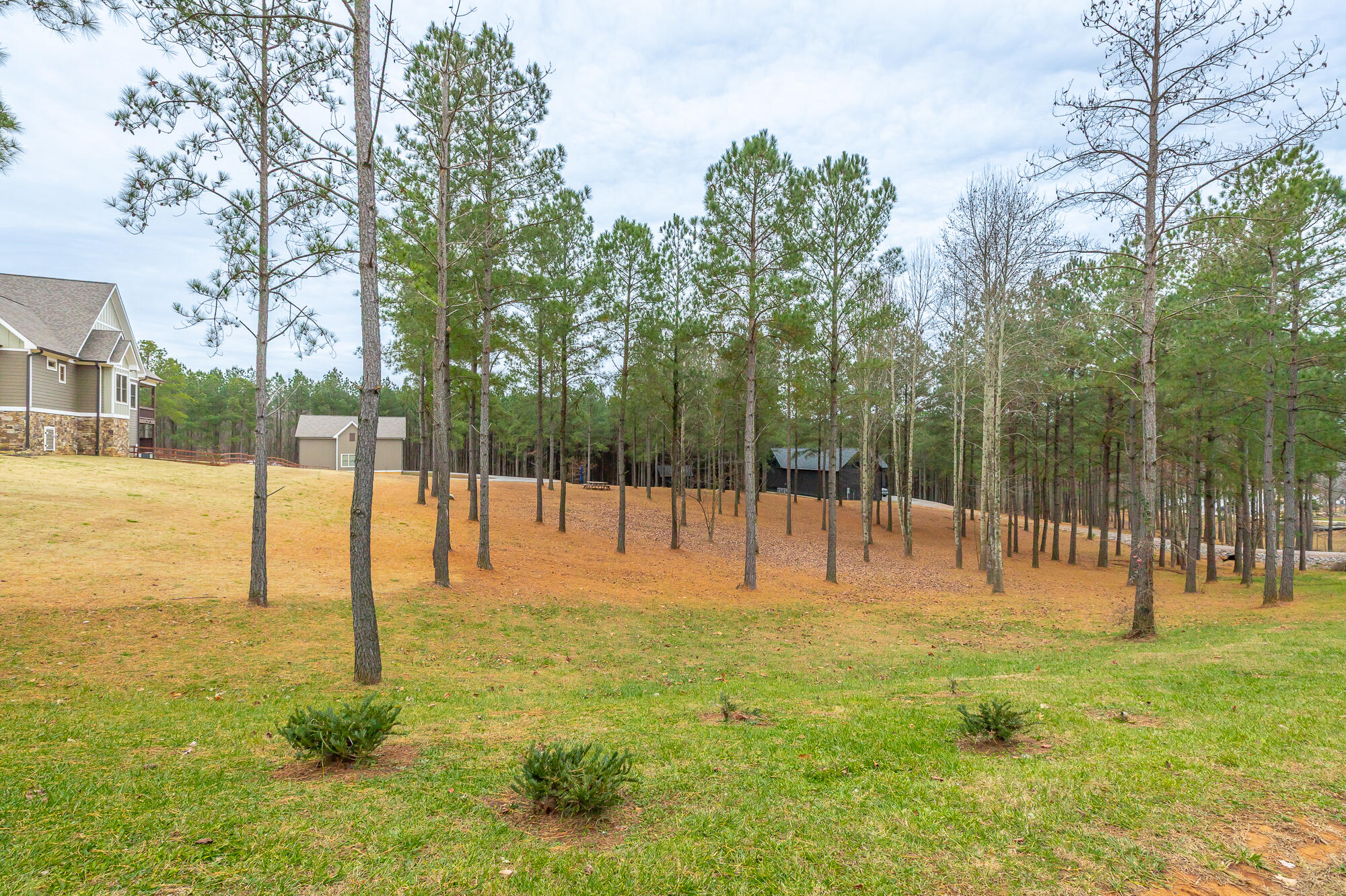 1520 Raulston Falls Drive Jasper, TN 37347 - Photo 100 of 148 1520 Raulston Falls Road HD-90