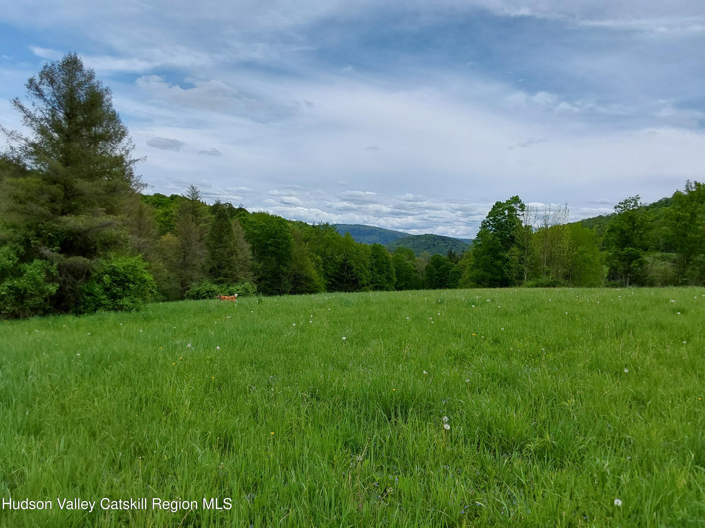 Tbd Upper Dingle Hill Road Andes, NY 13731 - Photo 44 of 44 1000000328