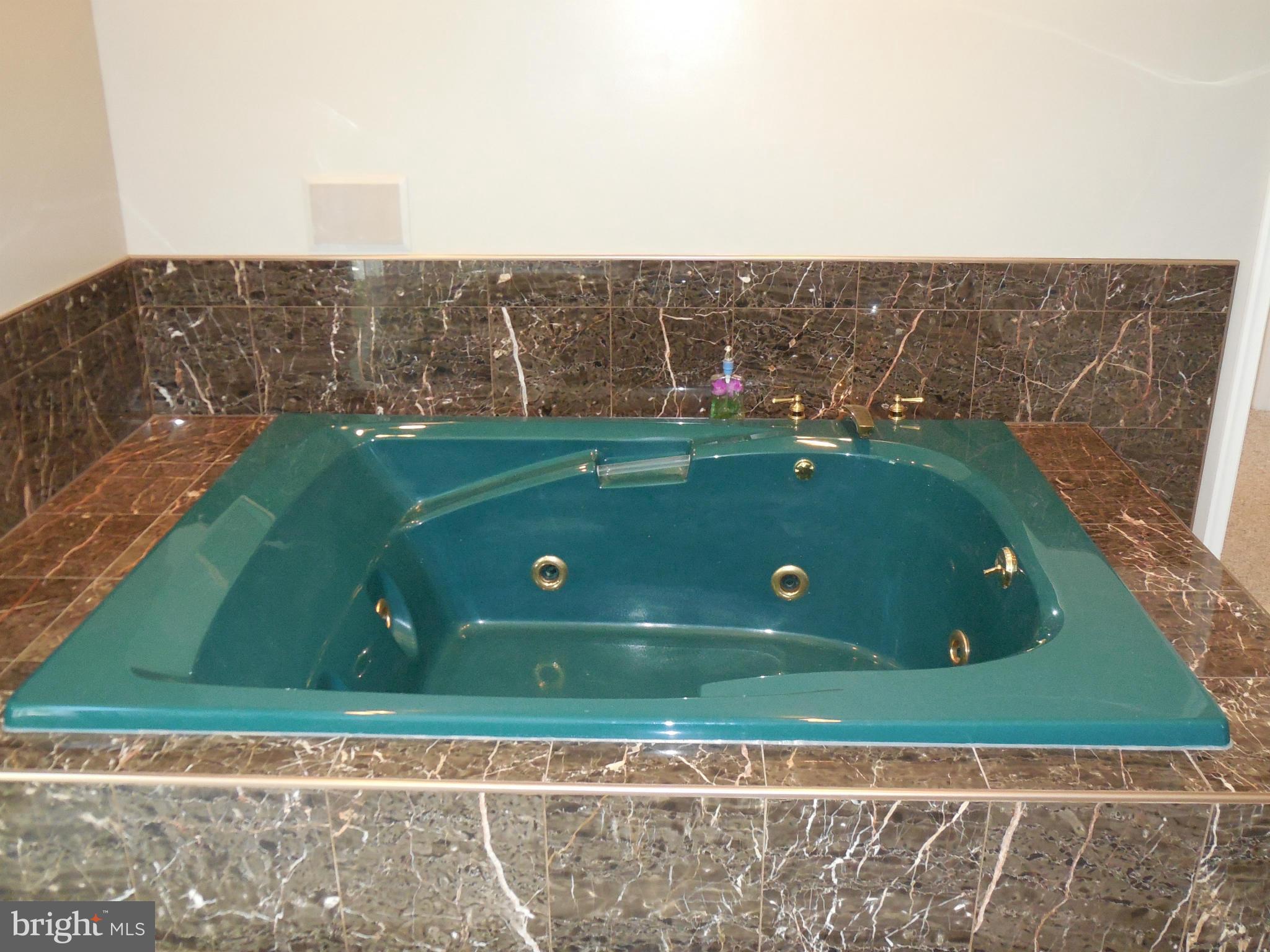8104 Woodhaven Road Baltimore, MD 21237 - Photo 23 of 29 Bath (Master)