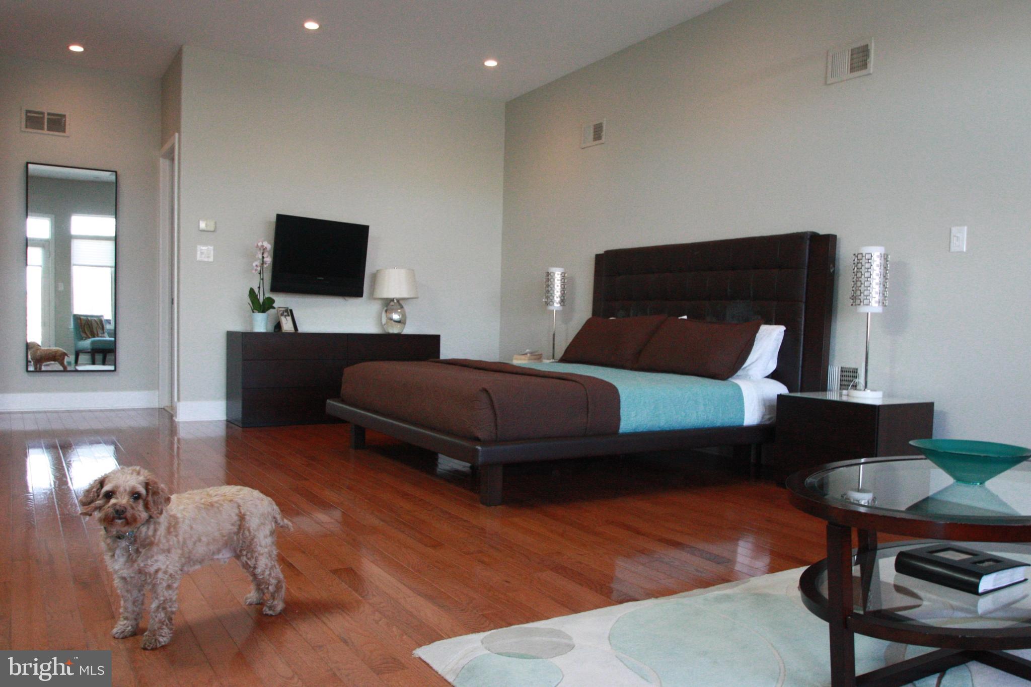 1238 Reed Street Philadelphia, PA 19147 - Photo 20 of 37 Main bedroom suite