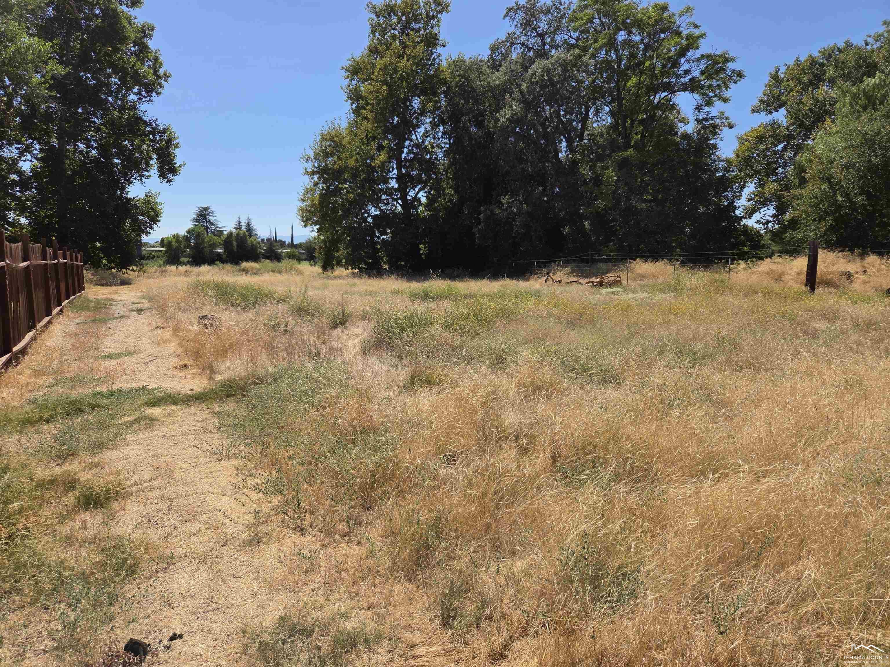 275 Howell Avenue Red Bluff, CA 96080 - Photo 6 of 8