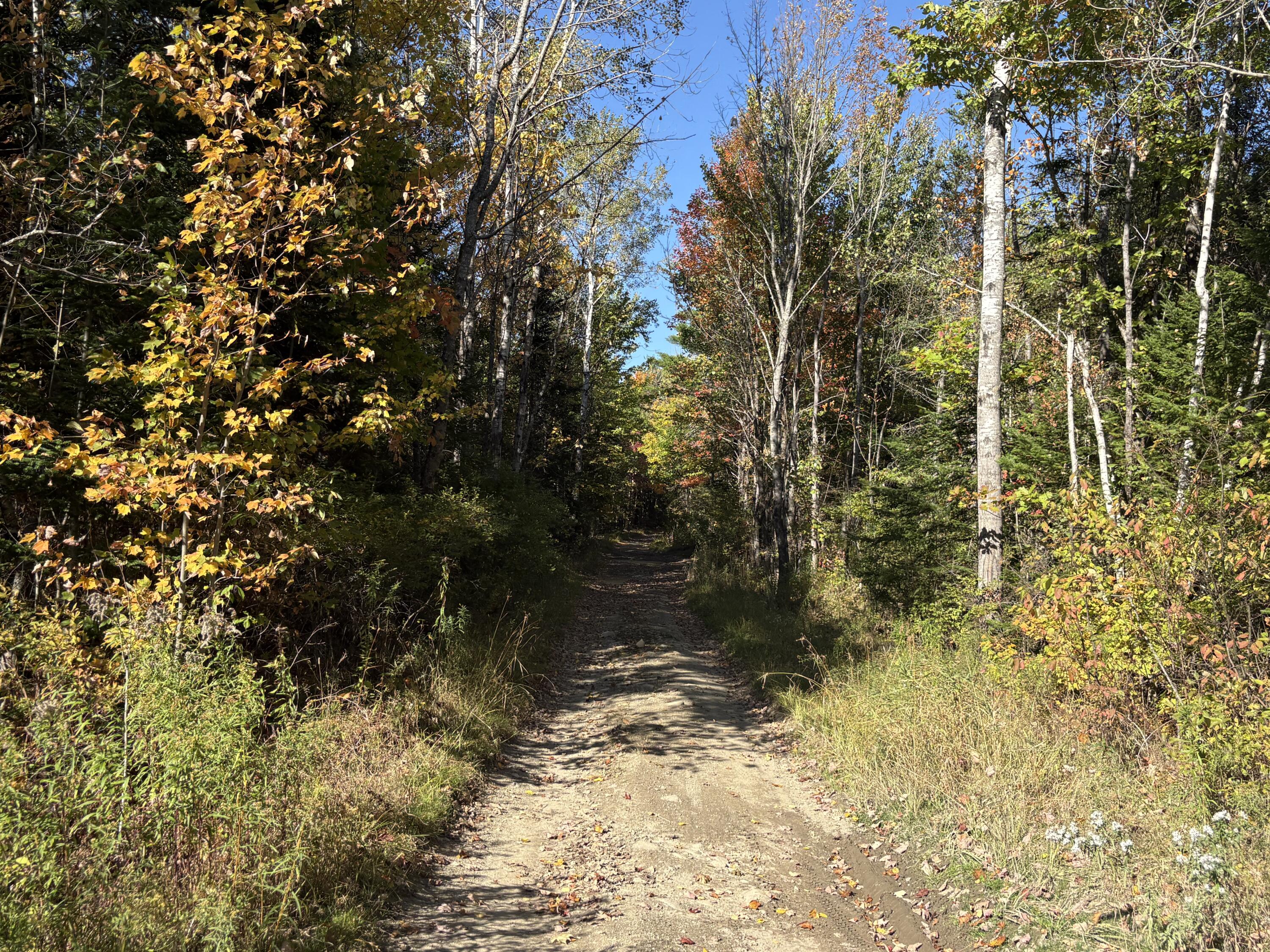 Map1-lot1 Rutland Road Plymouth, ME 04969 - Photo 1 of 10