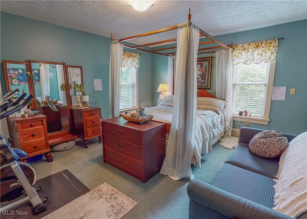 5696 Steubenville Road Southeast Amsterdam, OH 43903 - Photo 28 of 50 Bedroom with a textured ceiling and carpet floors