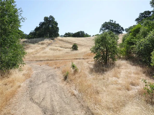 a view of a yard with trees