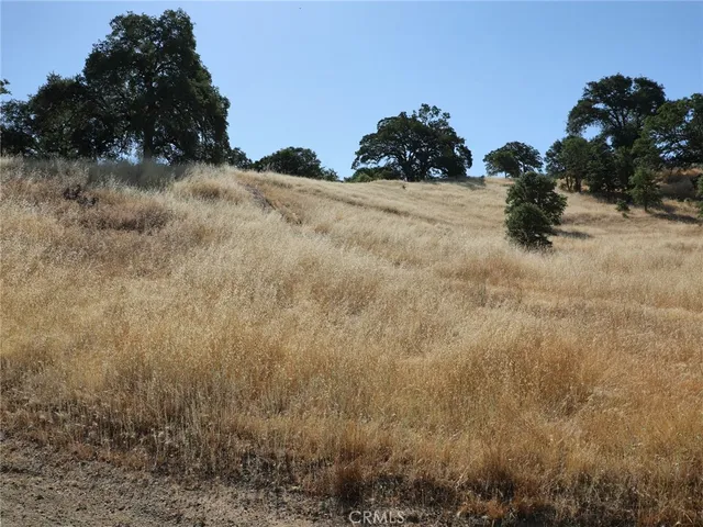 a view of a dry yard