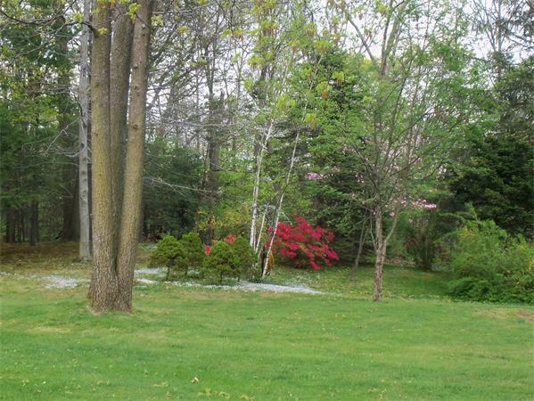 36 Blossom Road West Springfield, MA 01089 - Photo 6 of 30 a view of an outdoor space and a yard