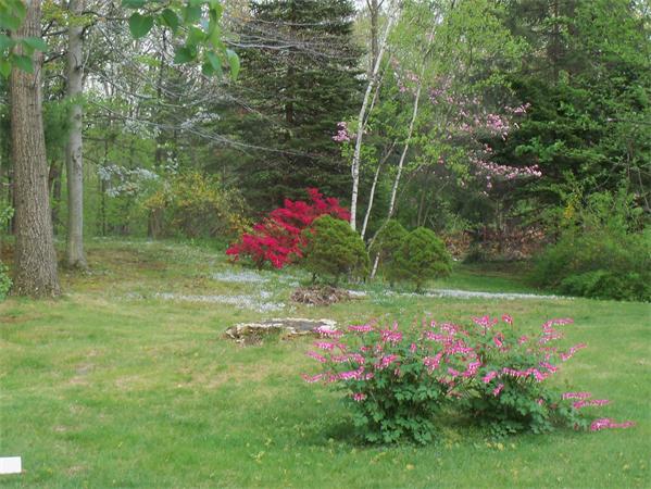 36 Blossom Road West Springfield, MA 01089 - Photo 7 of 30 a backyard of a house with lots of green space and garden
