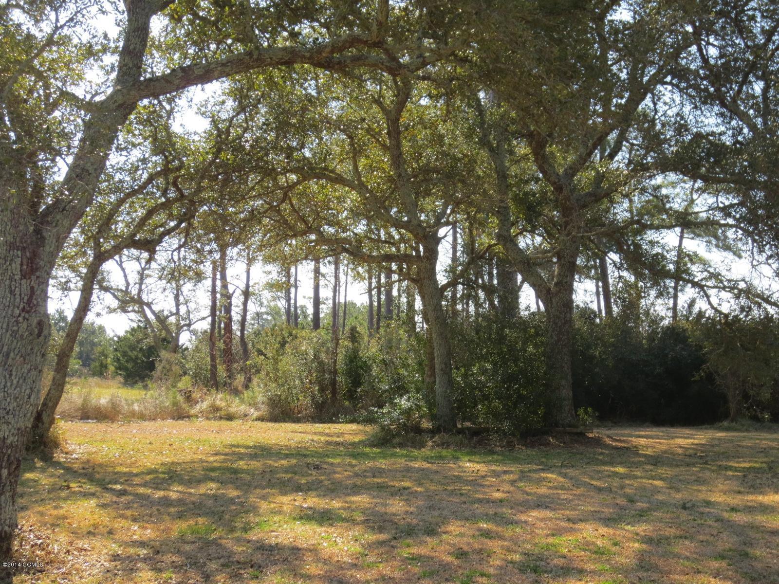 309 Canal Road Beaufort, NC 28516 - Photo 11 of 27 Hamilton tress