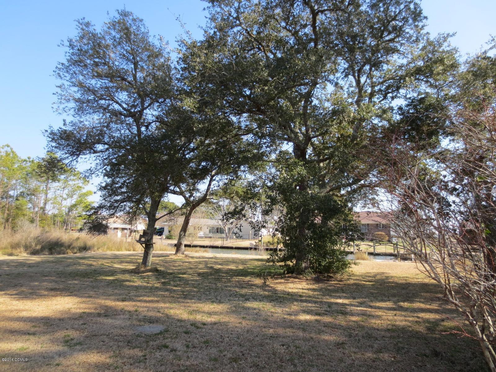 309 Canal Road Beaufort, NC 28516 - Photo 10 of 27 Hamilton trees2