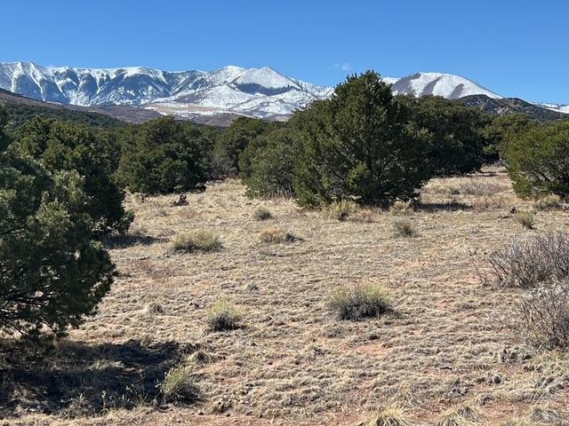 3 B Majors Ranch Road Walsenburg, CO 81089 - Photo 37 of 54