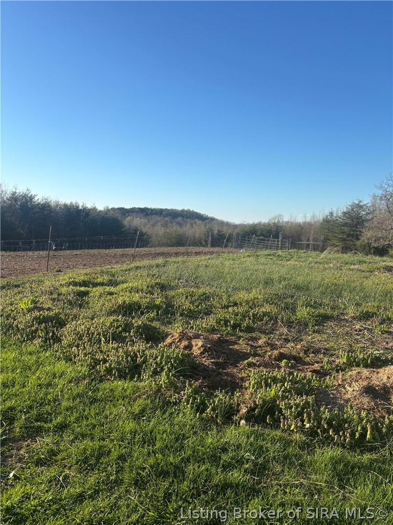 2322 North Whiskey Hollow Road Salem, IN 47167 - Photo 14 of 43 The view!