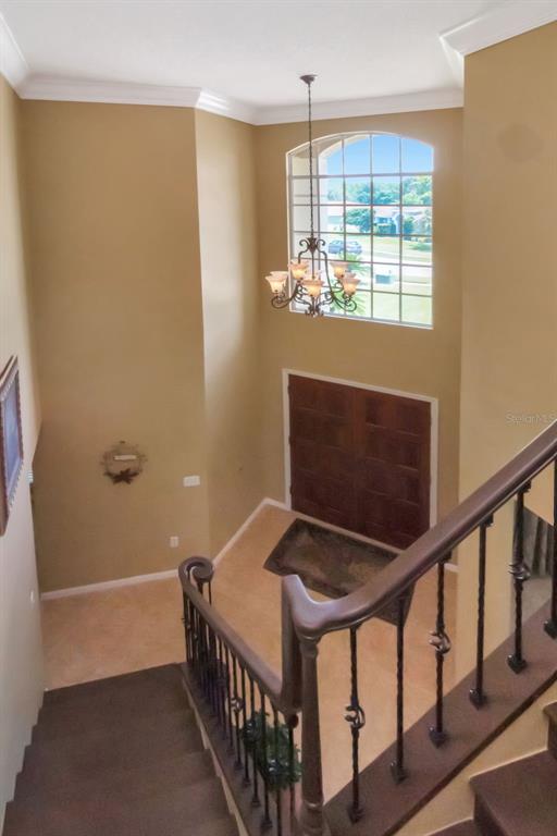 18511 Bittern Avenue Lutz, FL 33558 - Photo 30 of 63