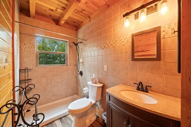 a bathroom with a sink a toilet and shower