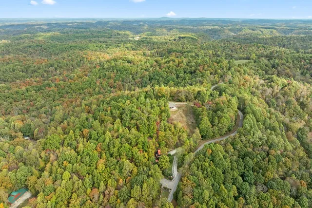 a view of a field with an ocean view