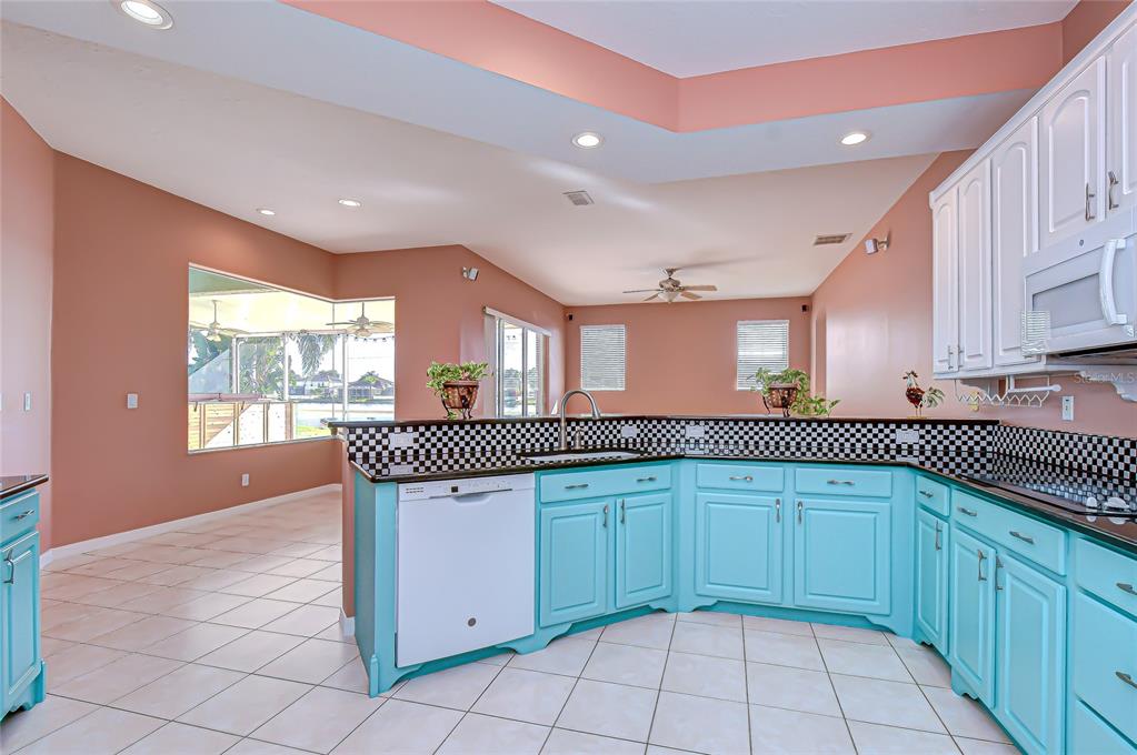 22704 Cliffside Way Land O' Lakes, FL 34639 - Photo 12 of 33 a kitchen with a sink a cabinets and window