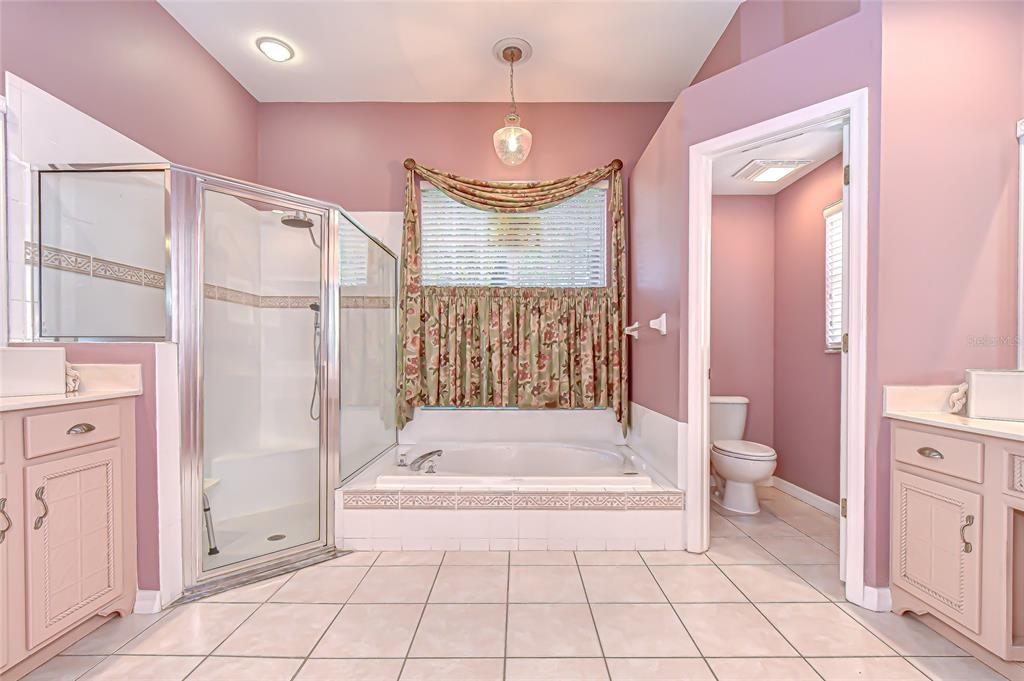 22704 Cliffside Way Land O' Lakes, FL 34639 - Photo 16 of 33 a bathroom with a tub a toilet and a shower