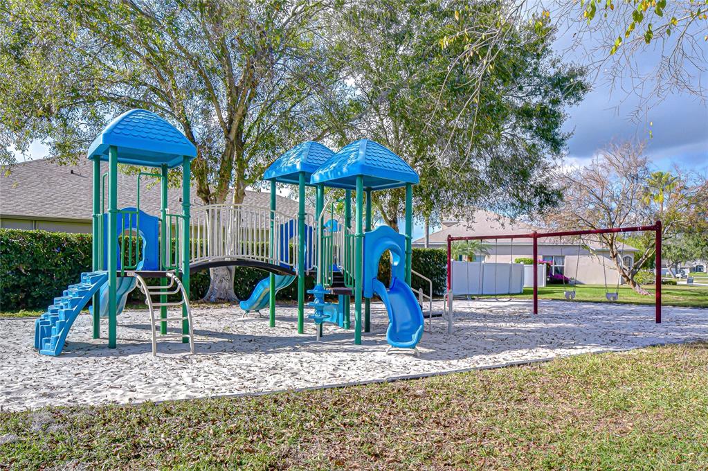 22704 Cliffside Way Land O' Lakes, FL 34639 - Photo 33 of 33 a view of a park with slide