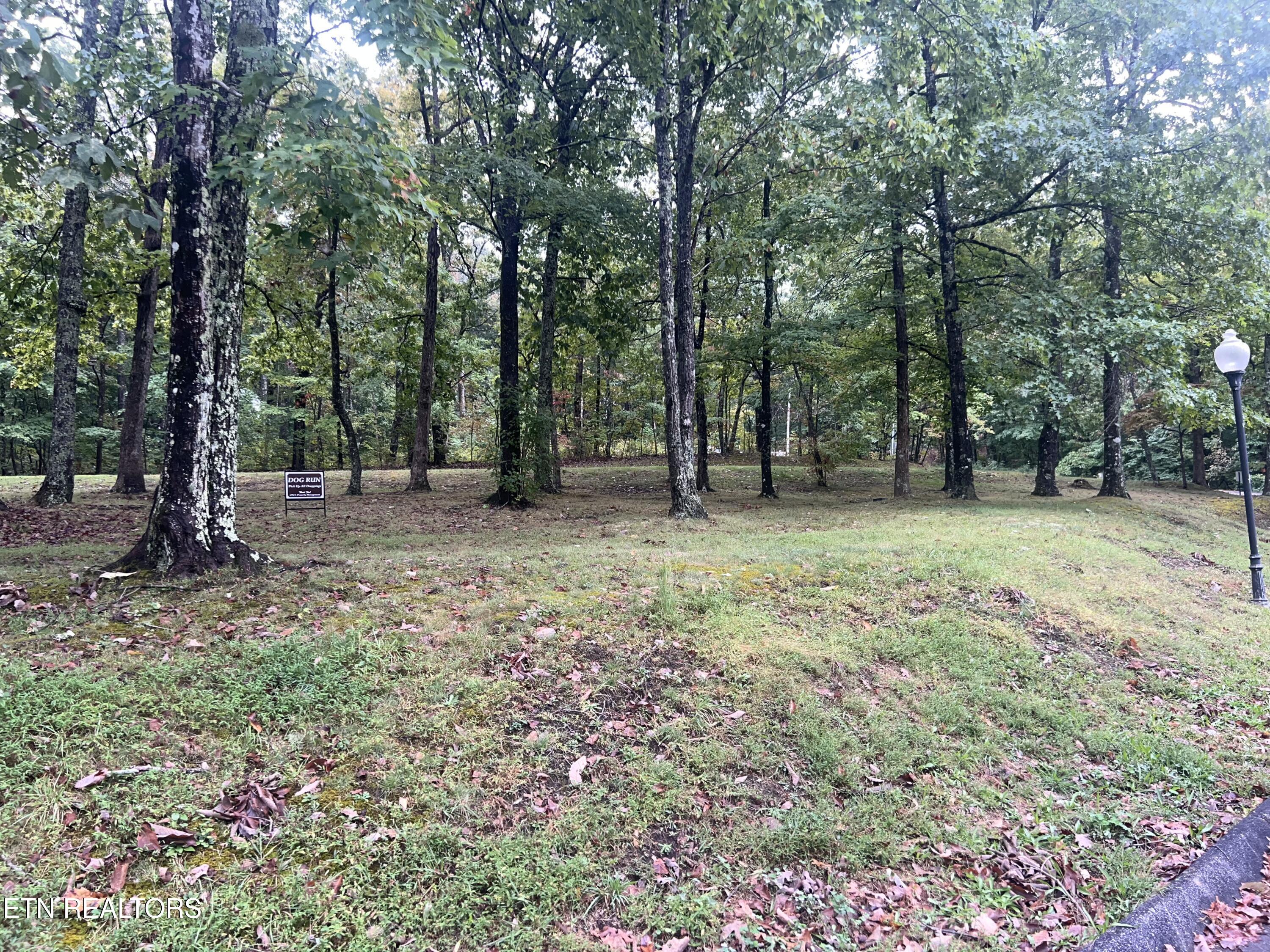 145 Moytoy Road, Unit 103 Crab Orchard, TN 37723 - Photo 6 of 16 IMG_6728