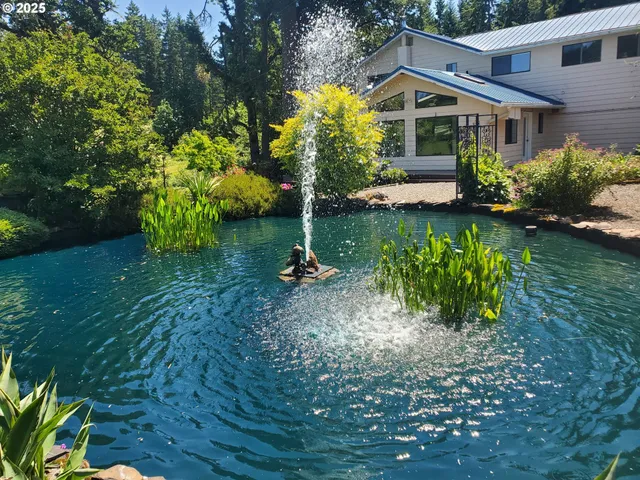 a front view of house with yard