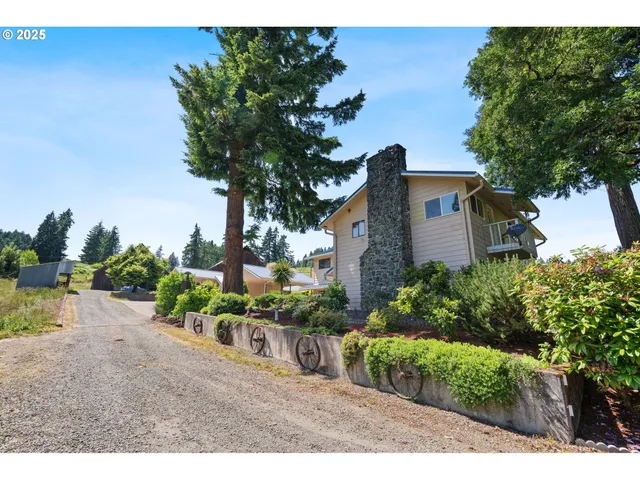 a backyard of a house with a garden and plants