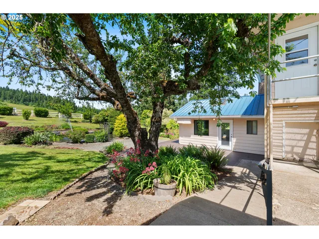 a house view with a garden space