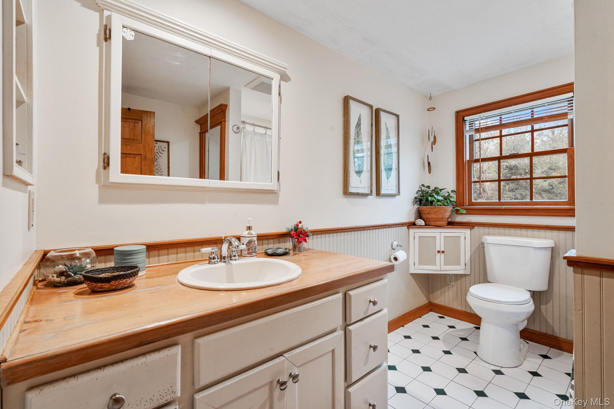 170 North Country Road Miller Place, NY 11764 - Photo 26 of 48 a bathroom with a sink toilet a mirror and shower