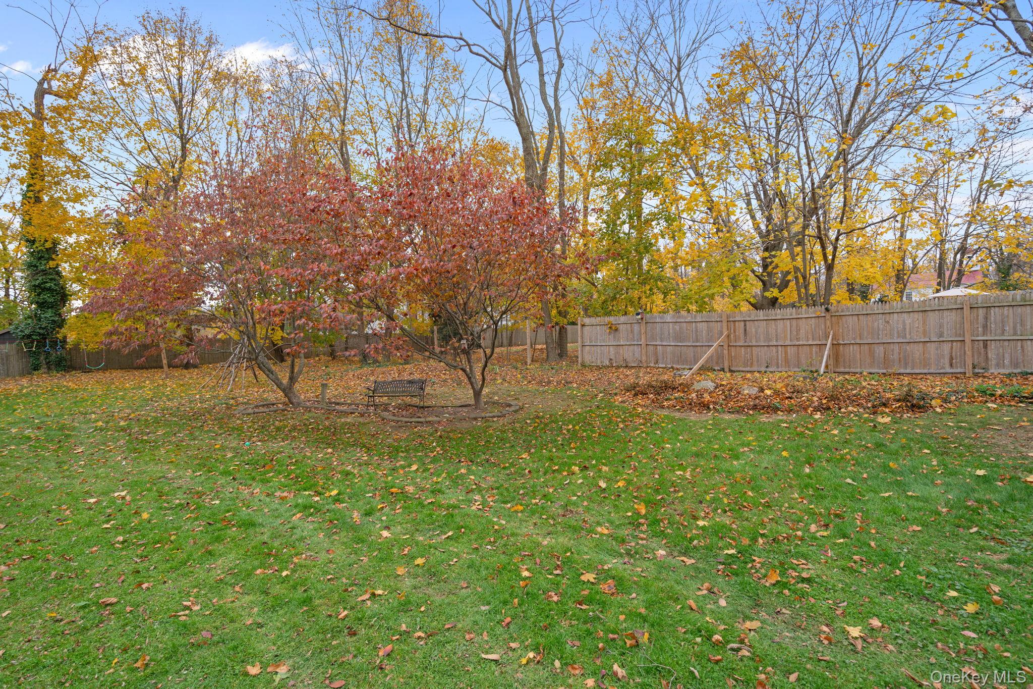 170 North Country Road Miller Place, NY 11764 - Photo 39 of 48 a view of backyard with tree