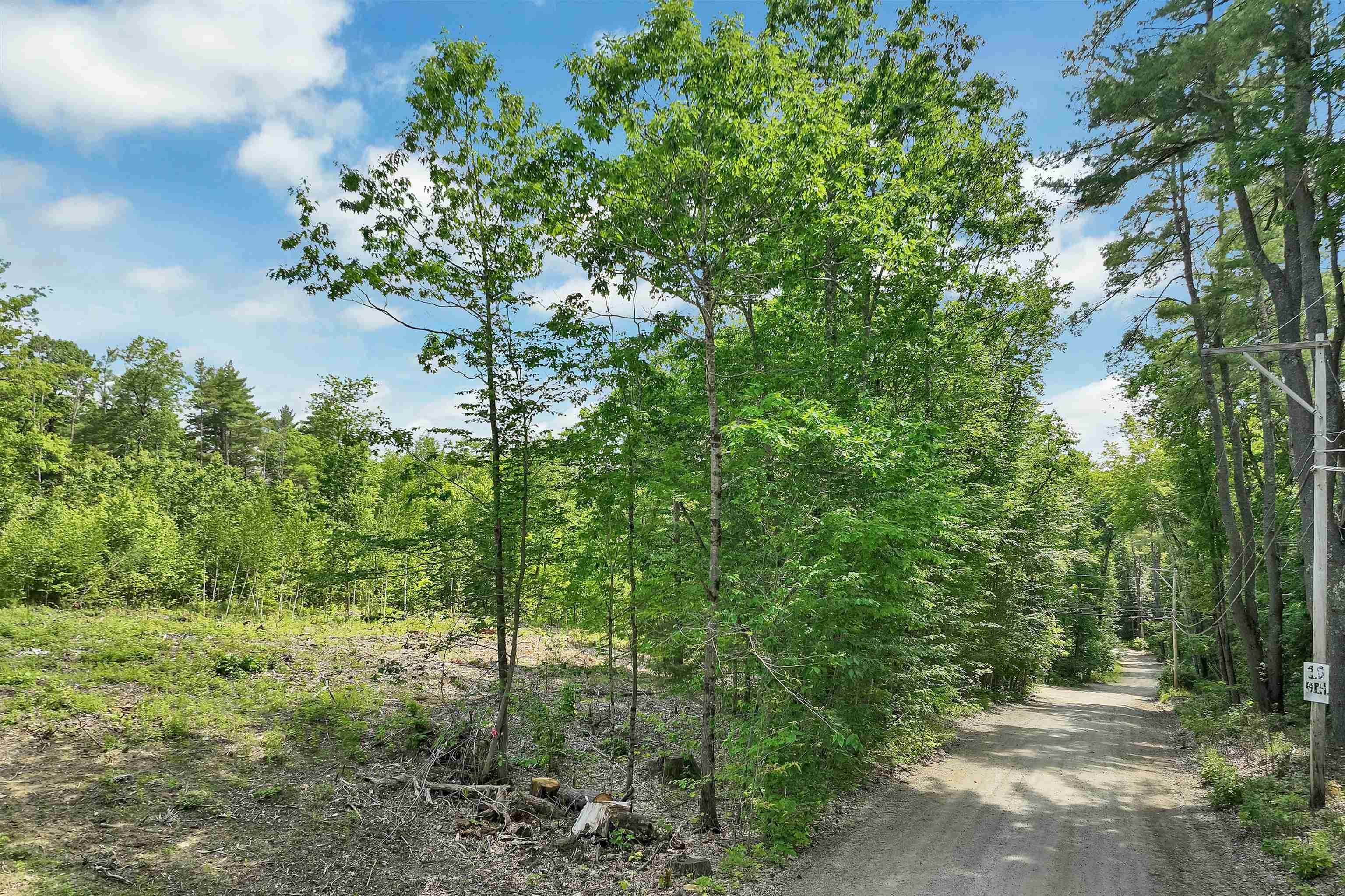 40 Lowden Road Barnstead, NH 03225 - Photo 5 of 34