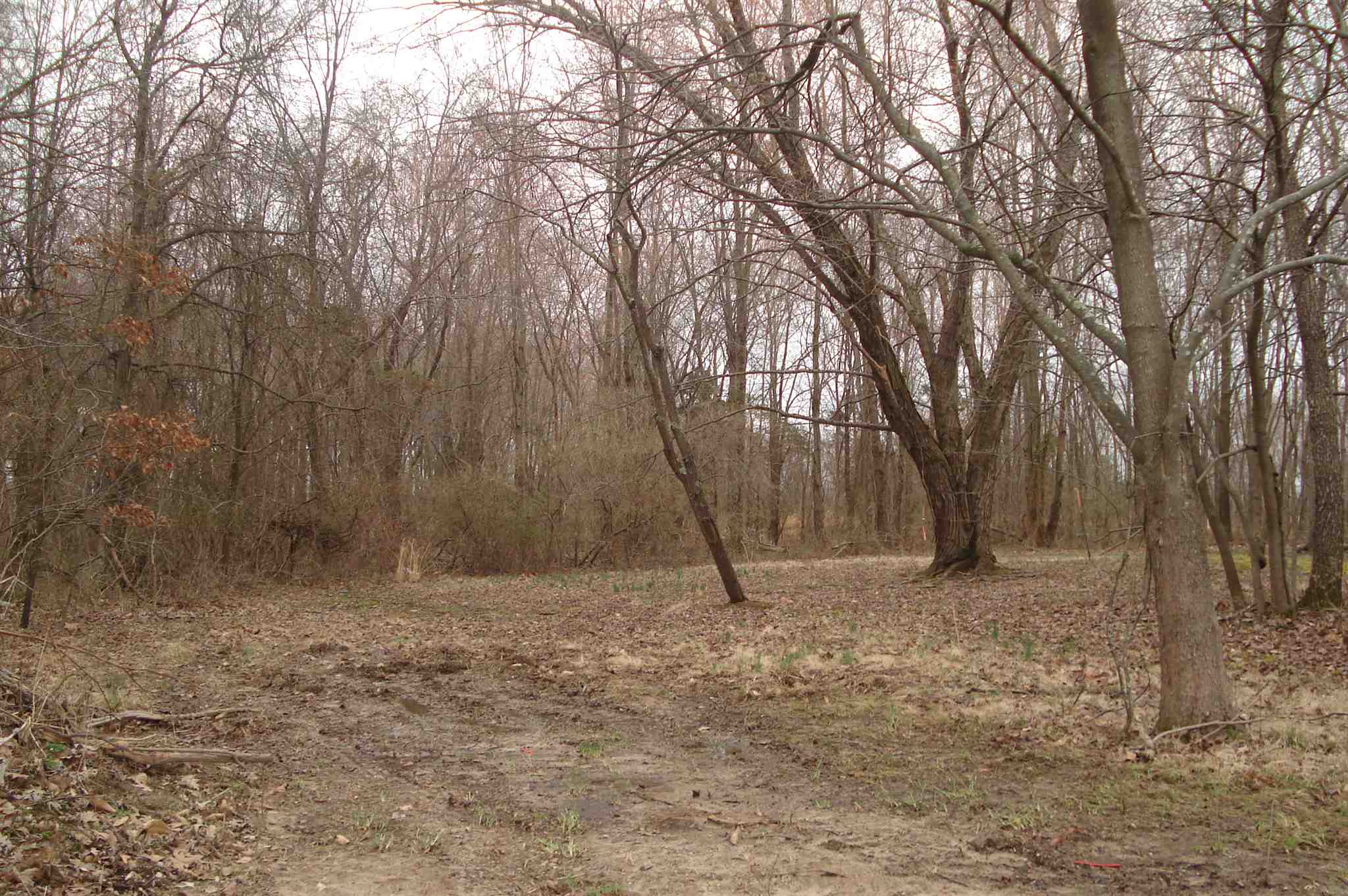 0 Binkley Road Marion, IL 62959 - Photo 1 of 6