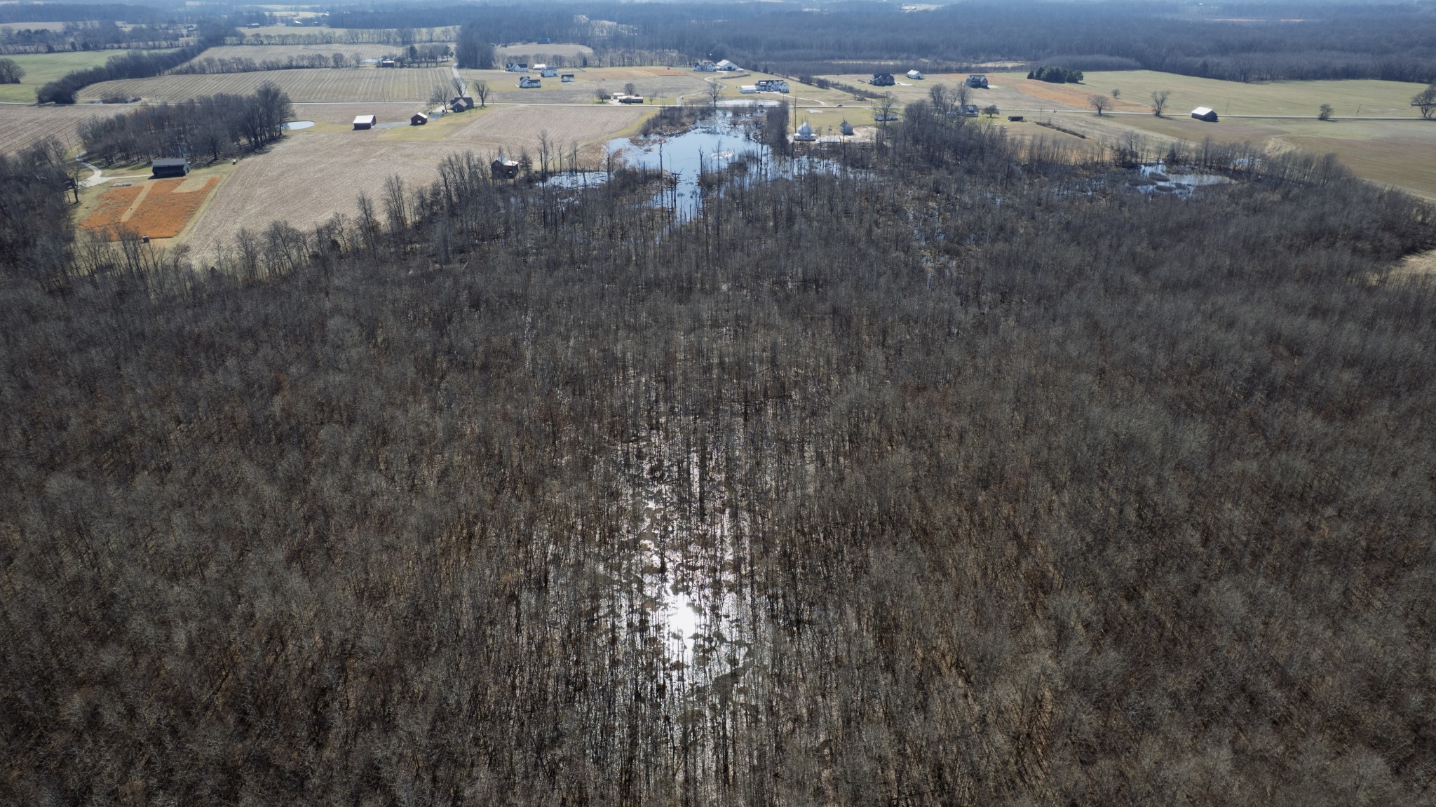 0 Lakeview Road Springfield, TN 37172 - Photo 8 of 16